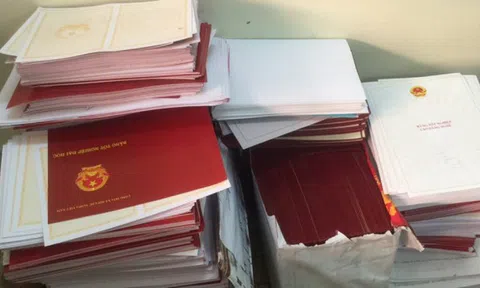 TP.HCM phát hiện 3 giáo viên thi tuyển viên chức bằng giấy tờ giả